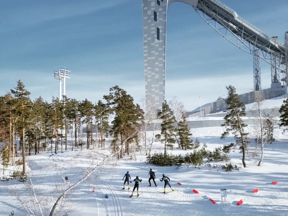 View of snowy ski track and four biathletes skiing away from the camera